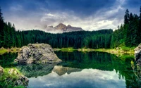 Réflexion sereine de montagne dans un étang luxuriant de forêt