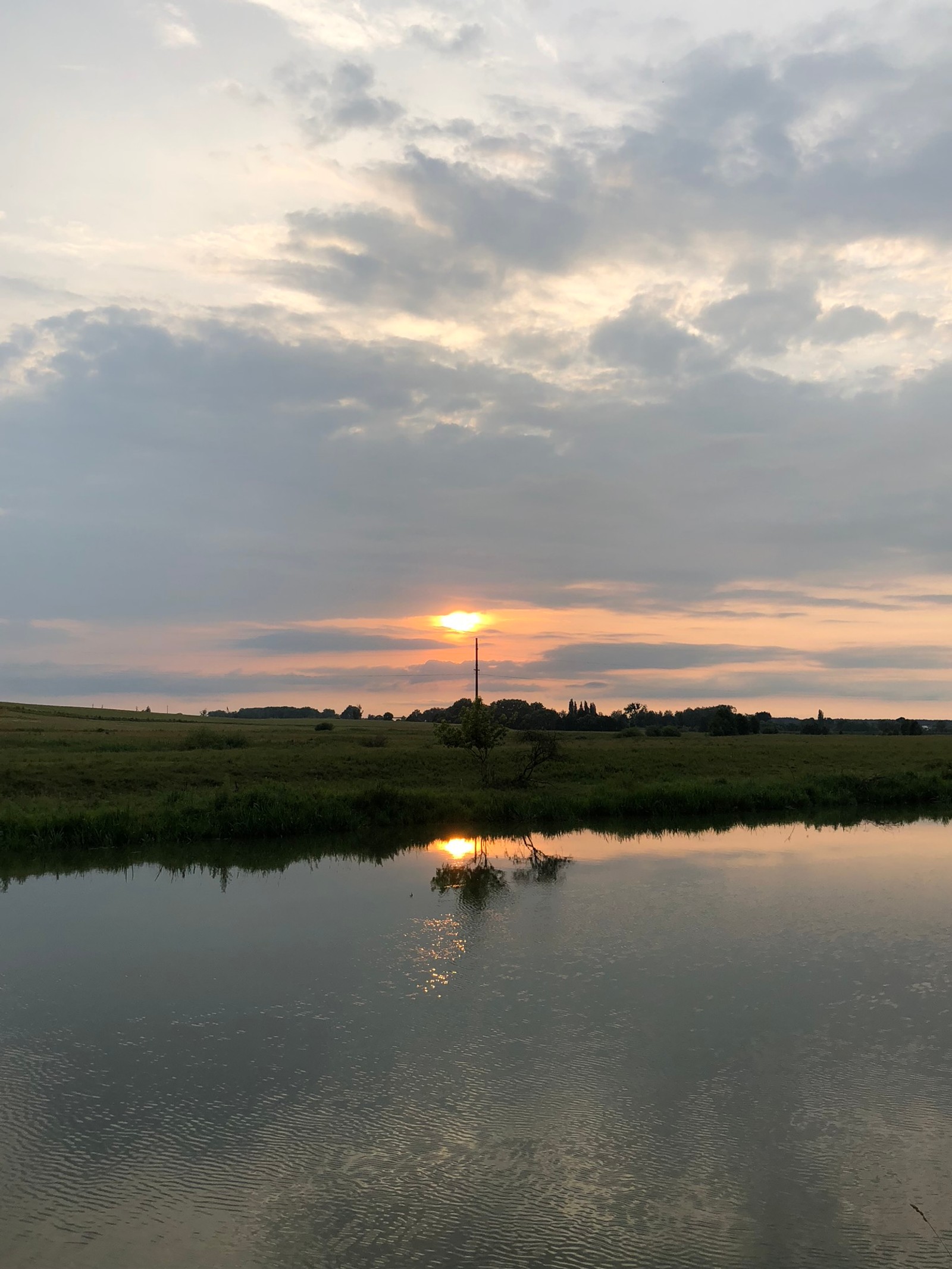 As girafas estão em pé em um campo ao lado de um lago ao pôr do sol (reflexo, recursos hídricos, água, corpo de água, natureza)