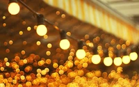 Warm Yellow Lights Creating a Cozy Autumn Atmosphere