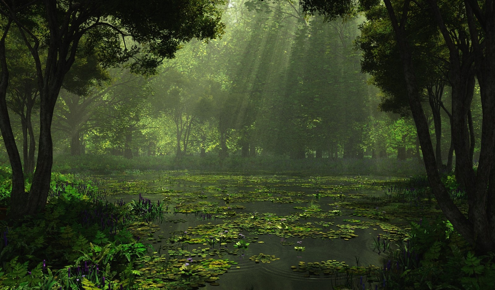 Vue aérienne d'un marais avec des nénuphars et des arbres (pluie, nature, paysage, vert, végétation)