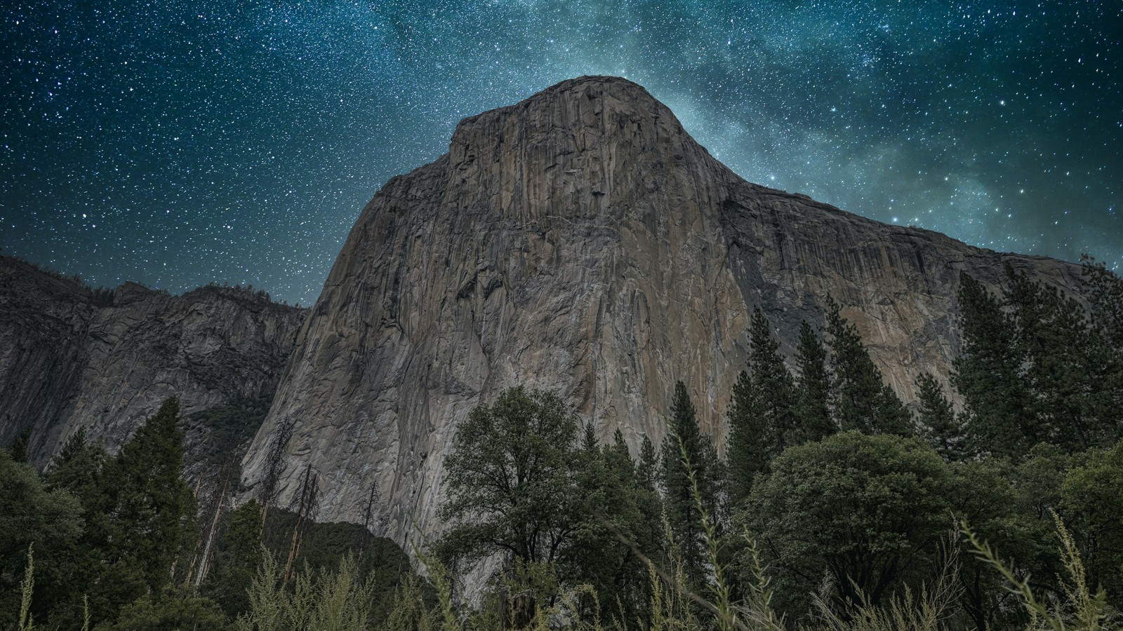 Uma montanha com um céu cheio de estrelas e árvores (natureza, montanha, planta, paisagem natural, mundo)