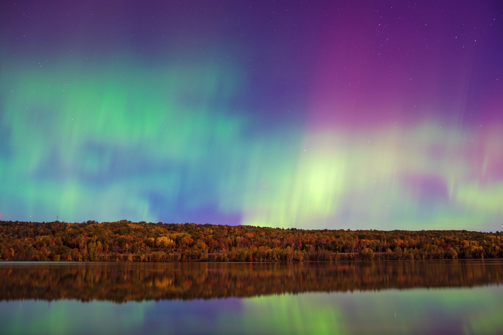 Lade aurora sky, ästhetisch, wald bäume, gewässer, reflexion Hintergrund herunter