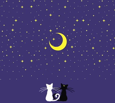 anime, artemis, cat, luna, moon