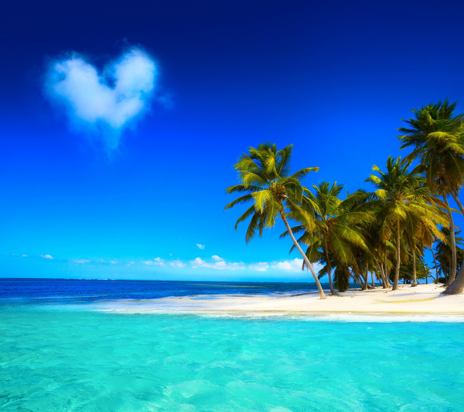 Un nuage en forme de cœur flotte au-dessus de l'océan et des palmiers (plage, beaux tropiques, bleu, palmiers, tropical)