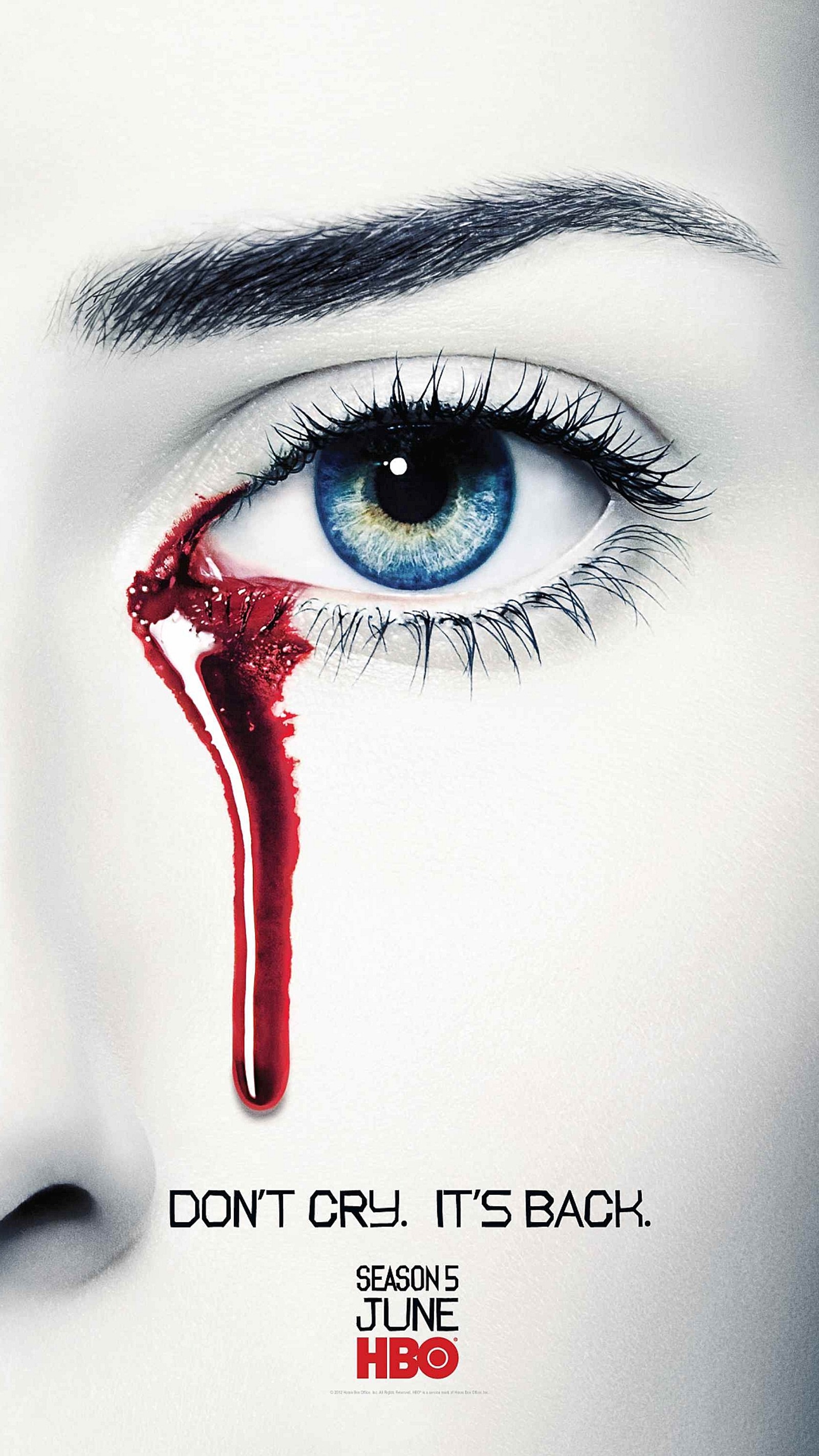 Скачать обои постер, шоу, true blood tv