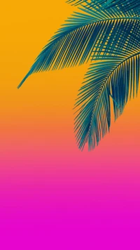 beauty, holiday, orange, palm, pink