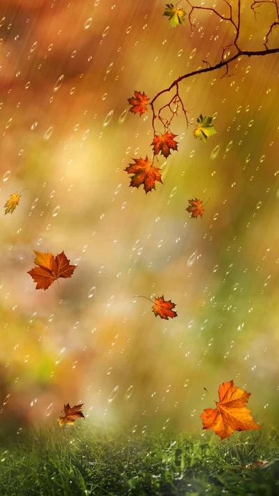 herbst, herbstnatur, regen, szene, natur