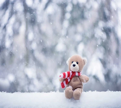 neve, teddy