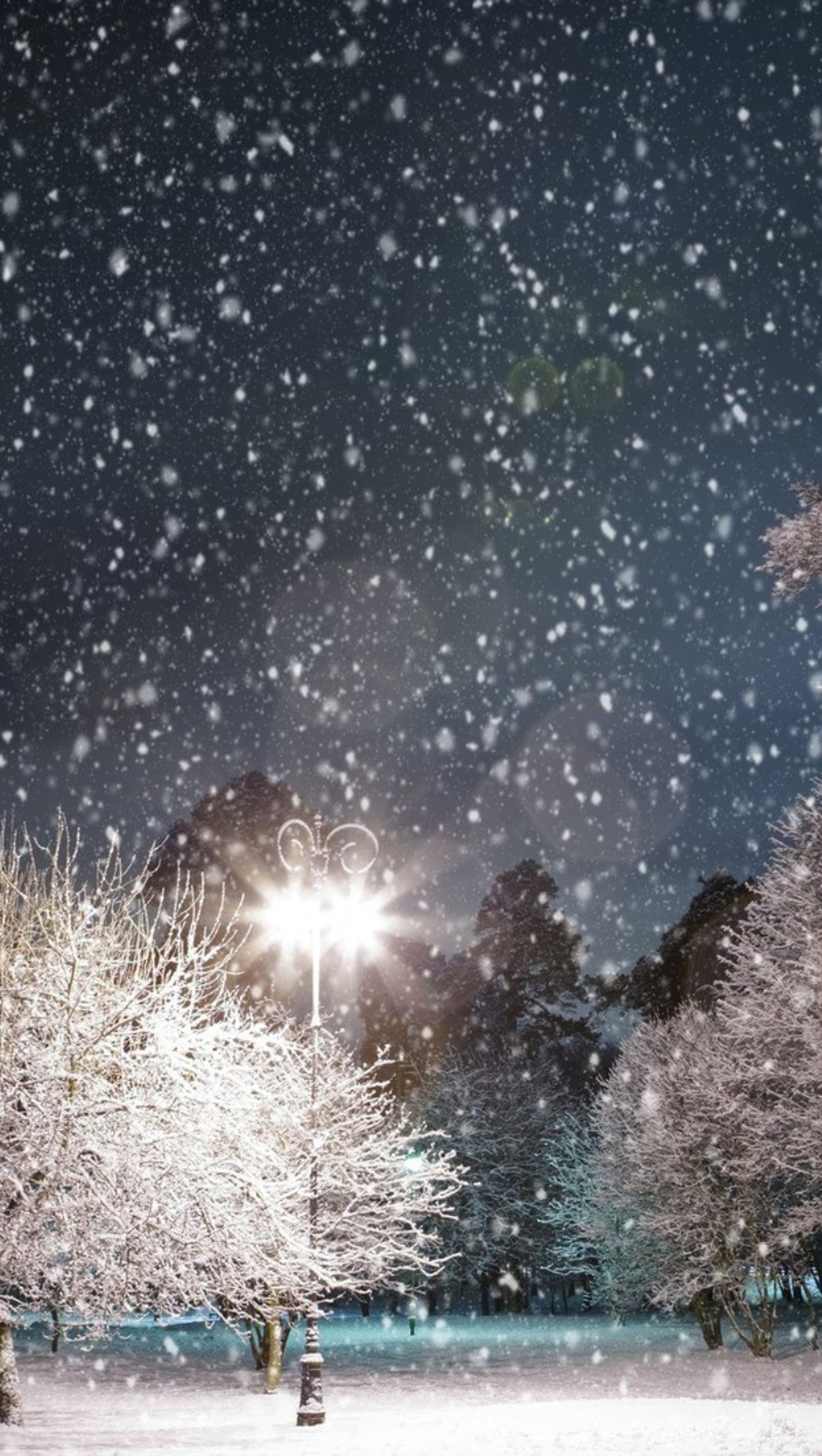 Snowy night scene with trees and street lights in the distance (light, nature, night, winter)