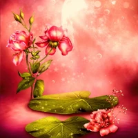 abstract, pink flowers wallpaper