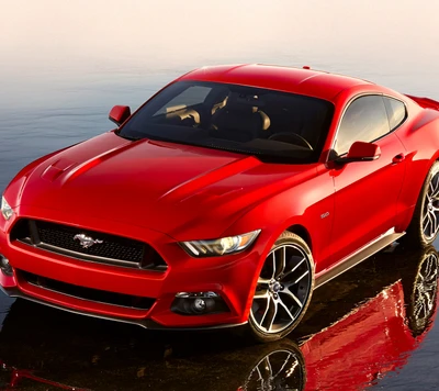 auto, car, ford, mustang, sport car