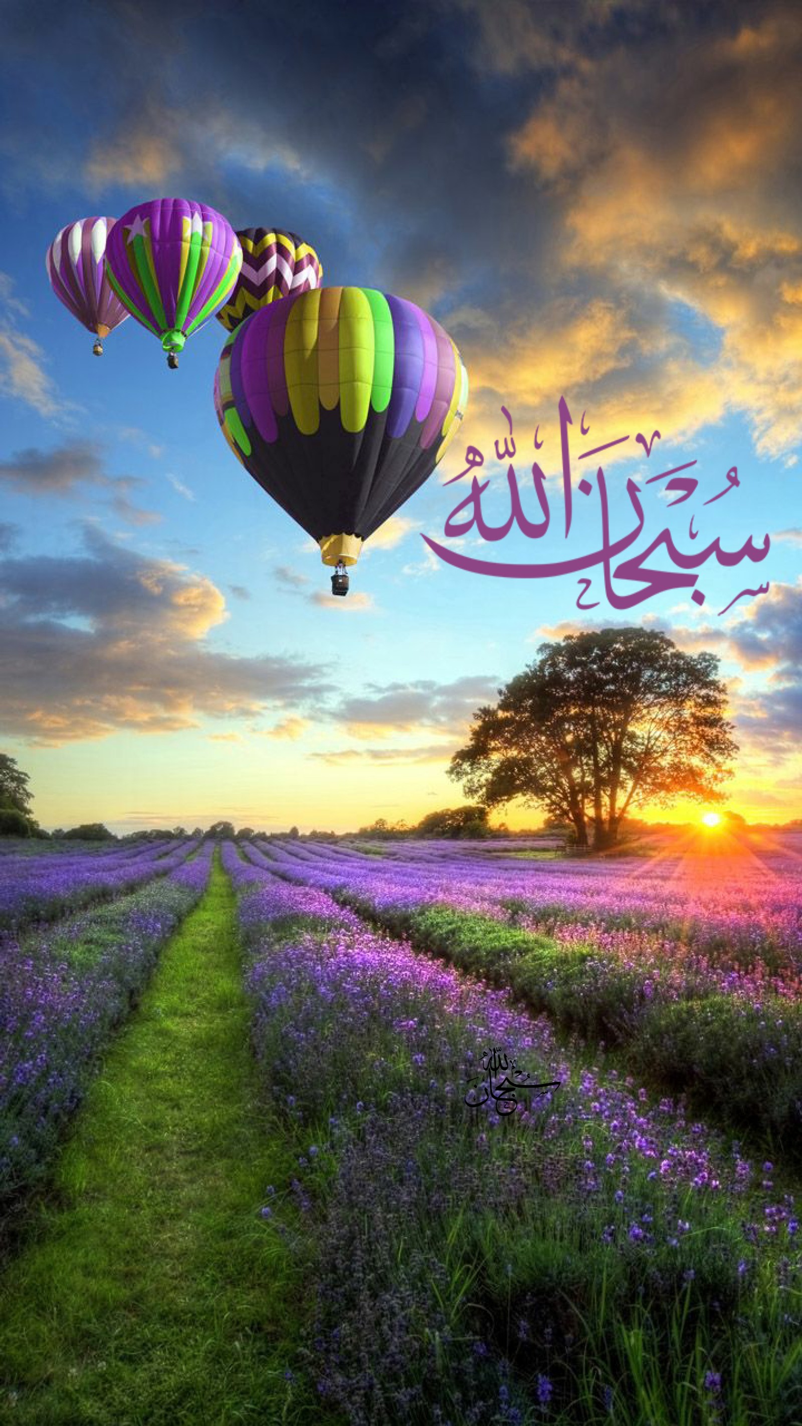 Uma foto tirada de um campo de flores com um balão de ar quente no céu (alá, allah, muçulmano, islâmico, islão)