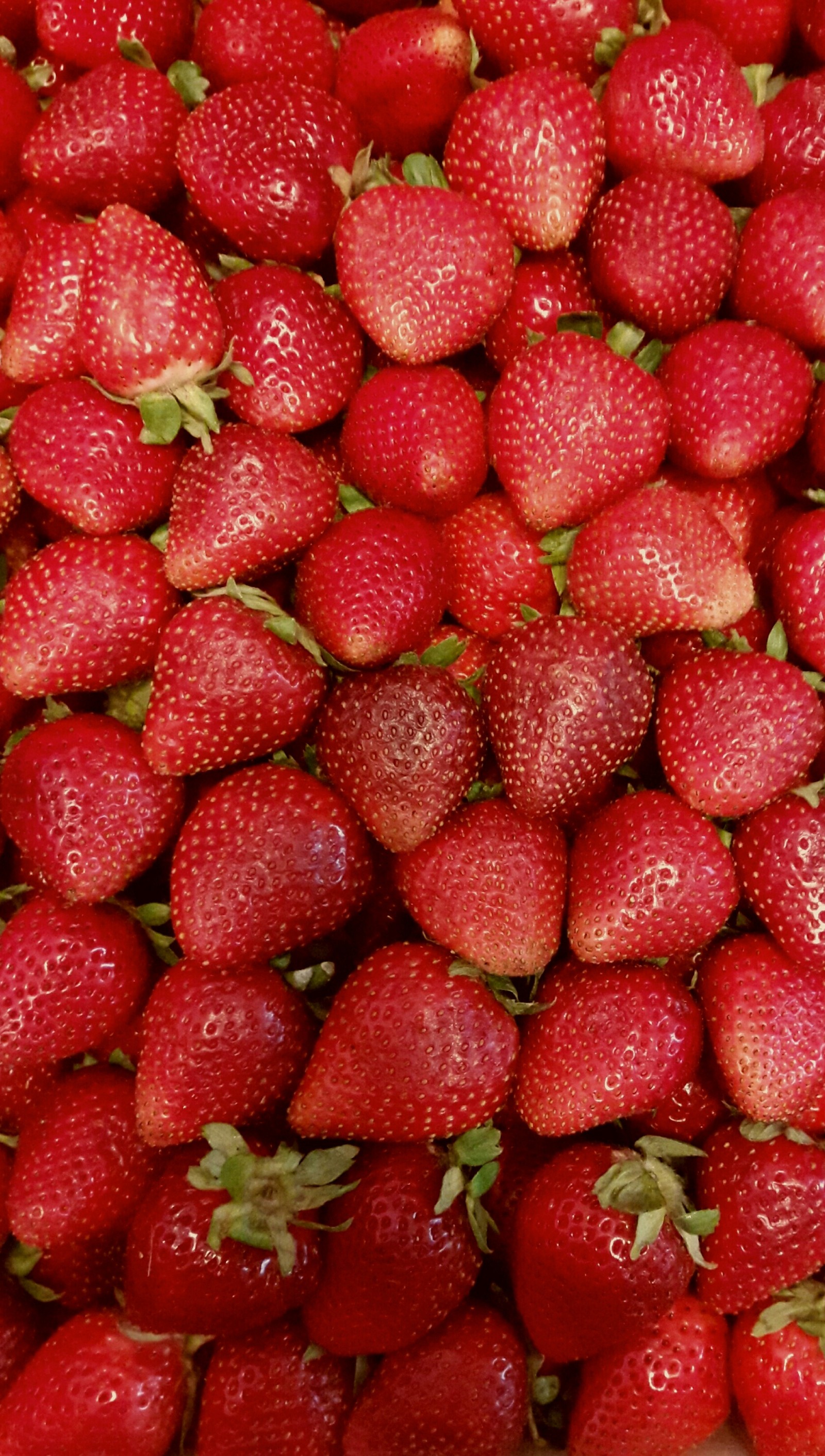 A close up of a pile of strawberries with green leaves (food, fruits, red, strawberries)