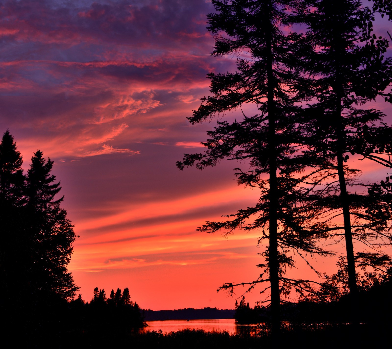 Vue panoramique d'un coucher de soleil avec quelques arbres au premier plan (nuages, nature, rose, violet, ciel)