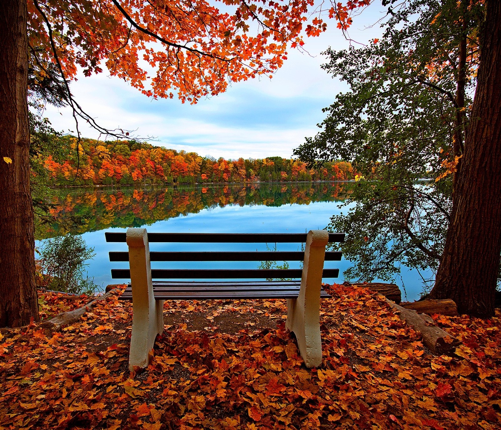 Arafed bench sitting in the leaves next to a lake (forest, leaves, nature, river, sky)