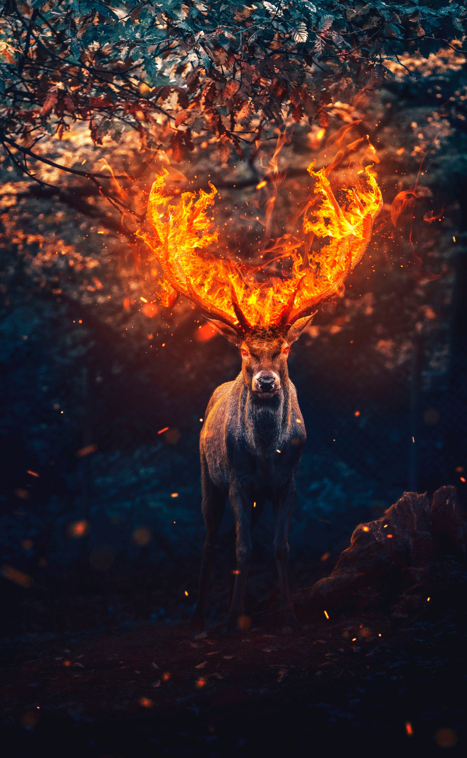 deer, people in nature, world, fire, heat wallpaper