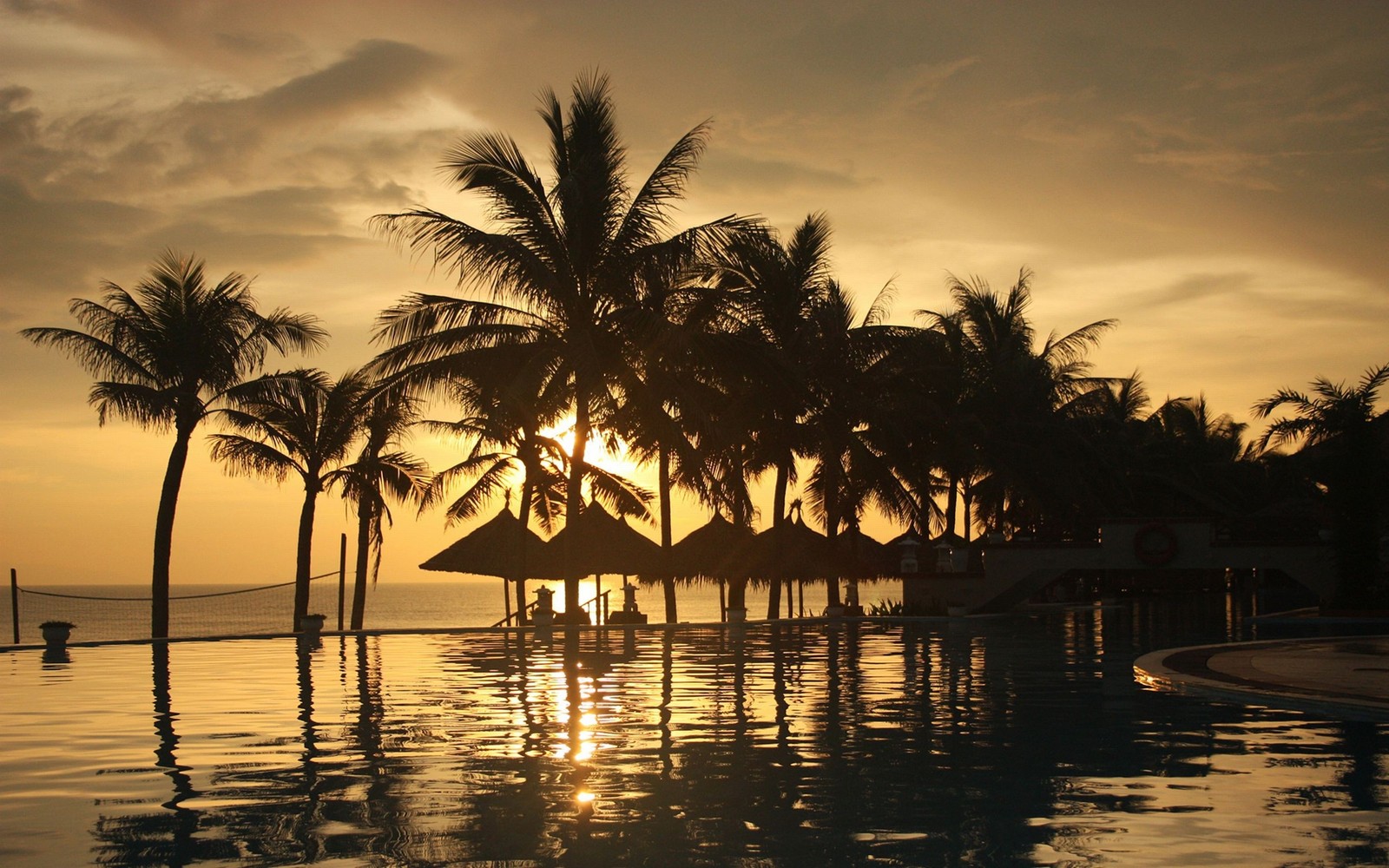 Palmen säumen den rand eines pools bei sonnenuntergang (baum, tropen, palme, sonnenuntergang, reflexion)