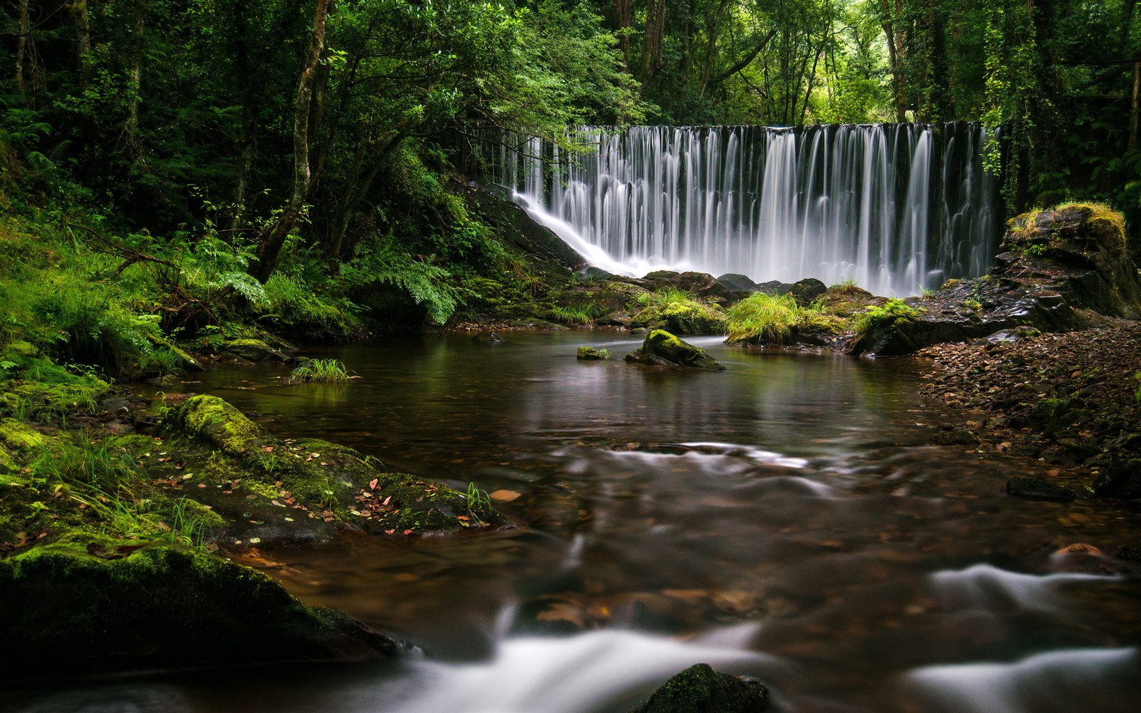 Arafed waterfall in the middle of a forest with rocks and trees (mazo de meredo, waterfalls, spain, long exposure, water stream)