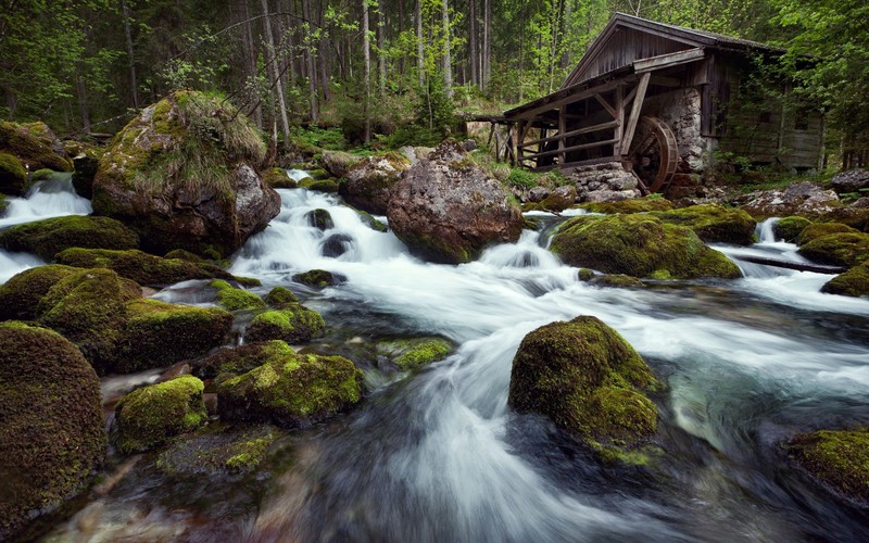 Крупный план ручья, текущего через лес с деревянной конструкцией (река, лес, водоем, поток, водные ресурсы)