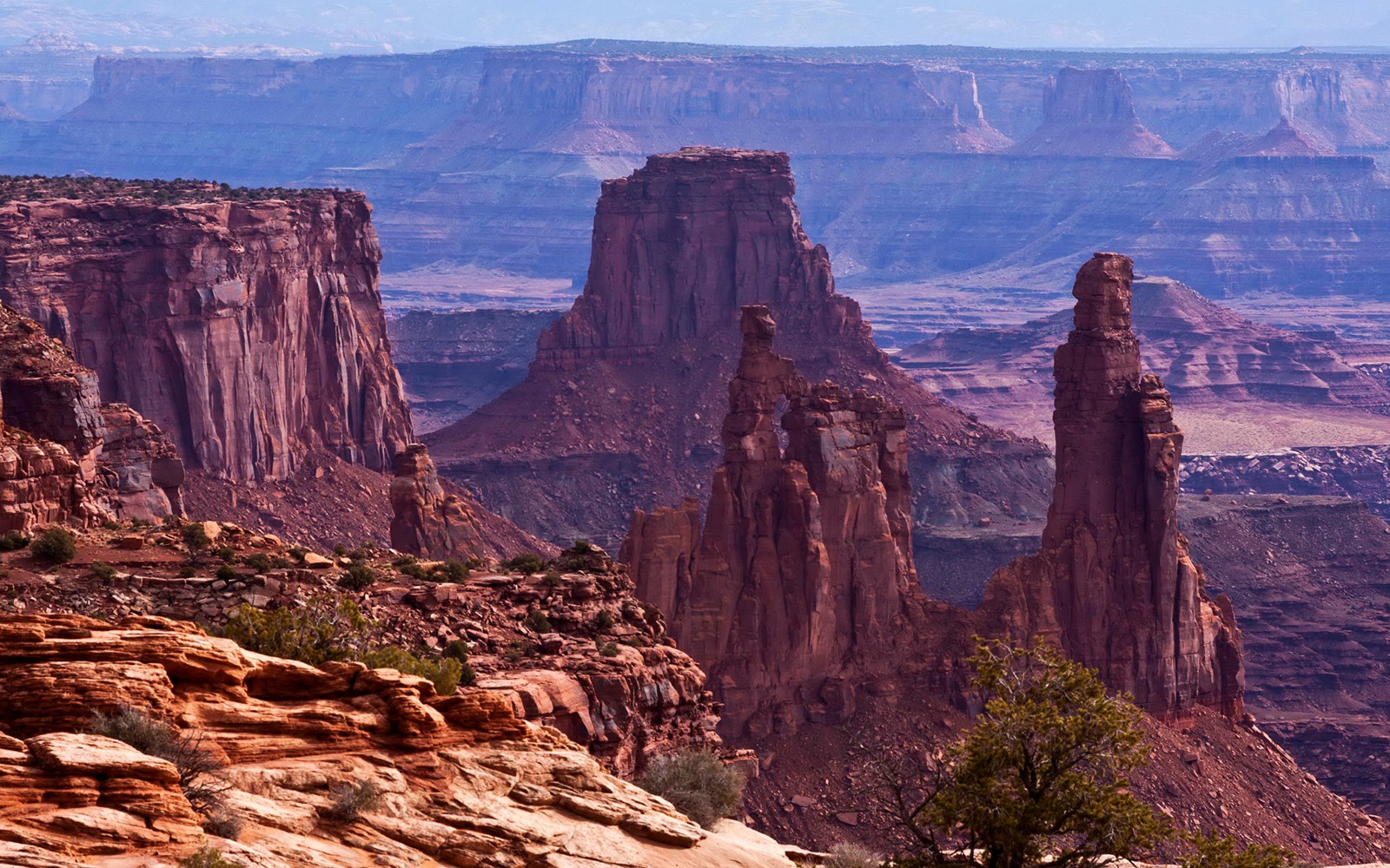 Des girafes élevées dans le canyon du grand canyon (badlands, arc de mesa, formation, butte, roche)