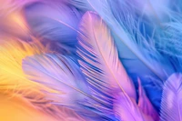 Colorful Feathers Against a Dreamy Background