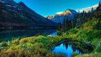 Réflexions sereines de montagne dans un lac tranquille entouré de nature sauvage