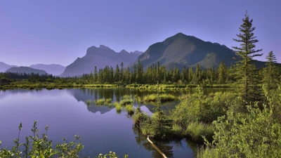 Sereno estanque de montaña que refleja una tranquila naturaleza salvaje