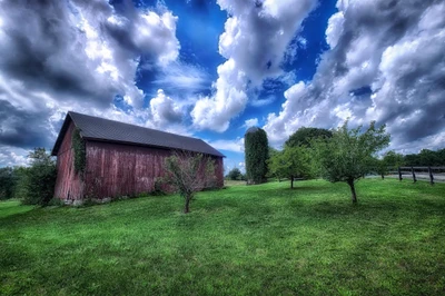 cloud, nature, grass, tree, grassland