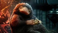 Teddy der Niffler: Ein charismatisches Wesen aus "Phantastische Tierwesen: Die Geheimnisse von Dumbledore