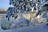 Sérénité hivernale : arbres couverts de givre se reflétant dans une rivière tranquille