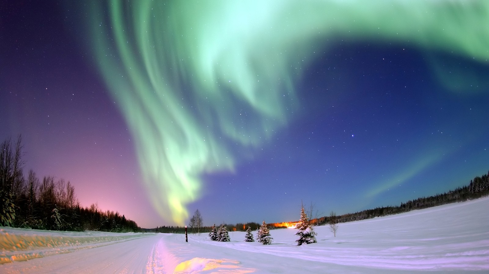 Nordlichter über einer verschneiten landschaft mit bäumen und einem haus (nordlicht, aurora, erde, polargebiete der erde, natur)