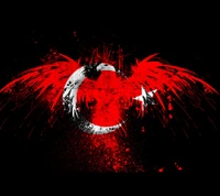 flag, turkey, turkish