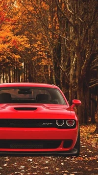 autumn, car, red, road