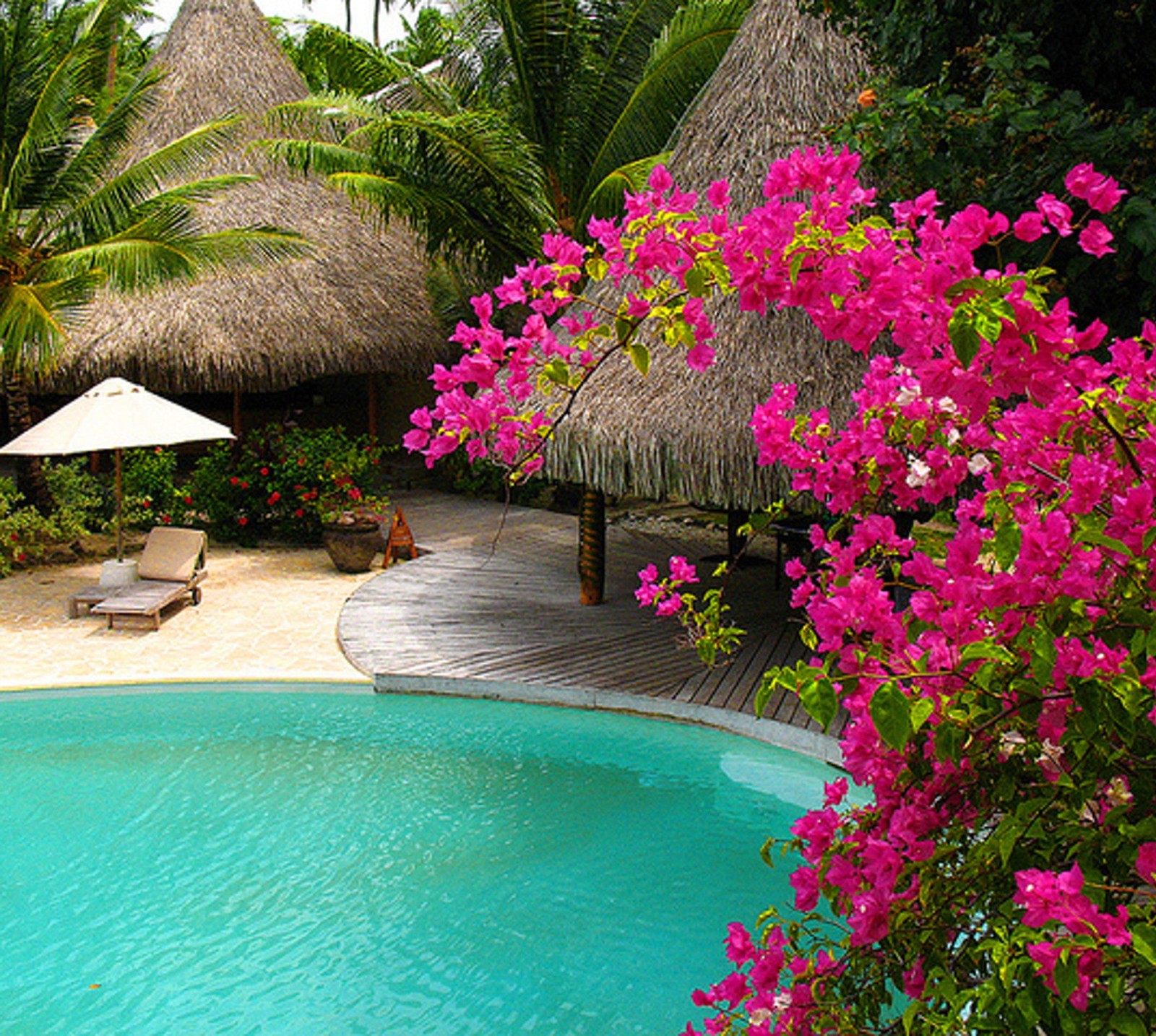 Há uma piscina com um telhado de palha e um deck com cadeiras (praia, bora bora, oceano, palmeiras, estância)