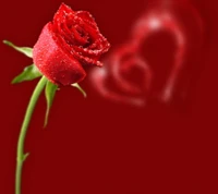 flower, heart, love, red, romantic