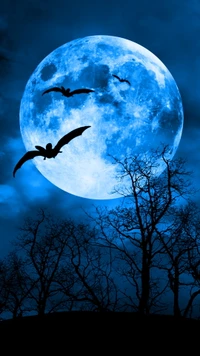 birds, dark, moon, moonshine, nature wallpaper