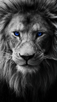 León majestuoso con llamativos ojos azules