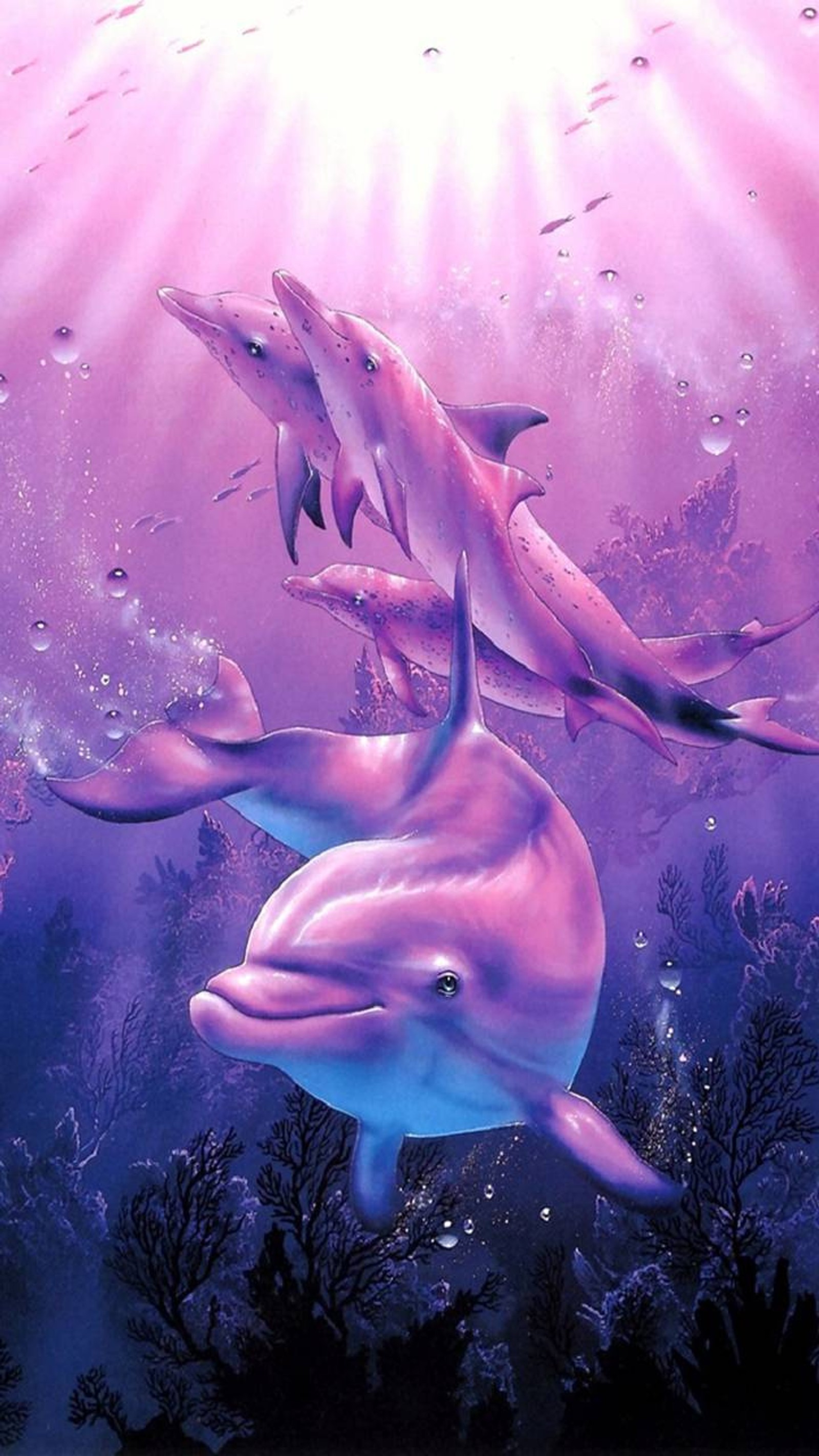 Dolphins swimming in the ocean with sunbeams and coral reefs (dolphins, pink)