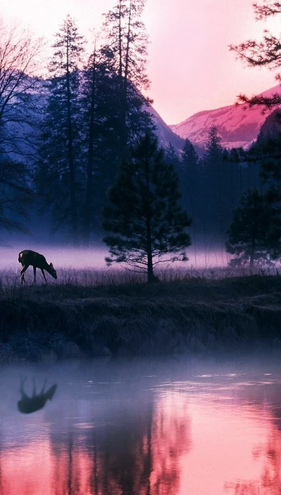 Serene Yosemite Landscape at Dawn with Deer and Misty Reflections