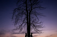 Silhouettierte Figuren stehen unter einem kargen Baum gegen einen Dämmerungshimmel, was ein Gefühl von Einsamkeit und Kontemplation in der Natur hervorruft.