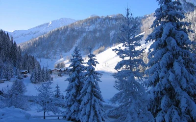 Montañas cubiertas de nieve y árboles de hoja perenne bajo un cielo azul claro, creando un paisaje invernal sereno.