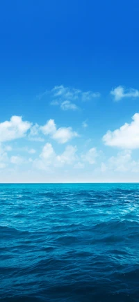 Vast Blue Horizon Under Cumulus Clouds