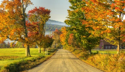 Route d'automne à travers des arbres colorés dans un paysage rural