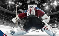 goaltender, hockey protective equipment, player, team sport, national hockey league