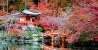 Autumn Serenity: A Tranquil Pagoda Reflecting in a Maple-Lined Japanese Garden.