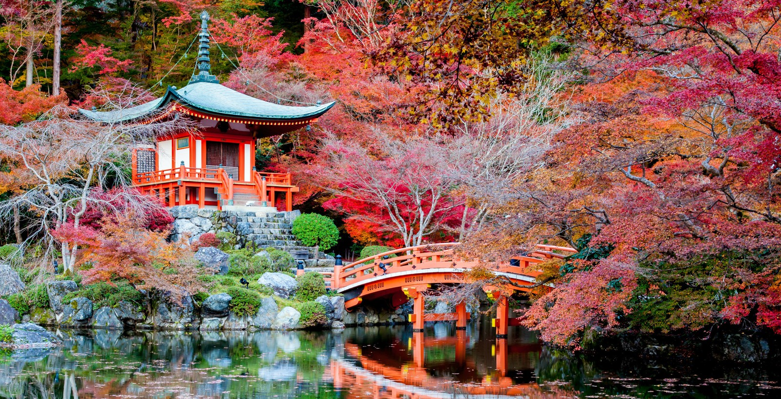 A close up of a bridge over a body of water near a forest (nature, tree, leaf, autumn, reflection)