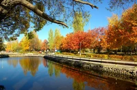 moskau, natur, stadt, baum, reflexion