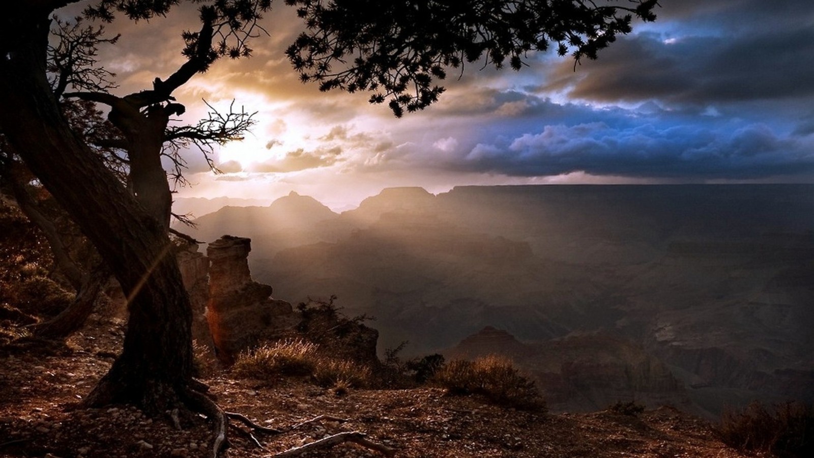 Lade landschaft, sonnenlicht, natur, atmosphäre, baum Hintergrund herunter