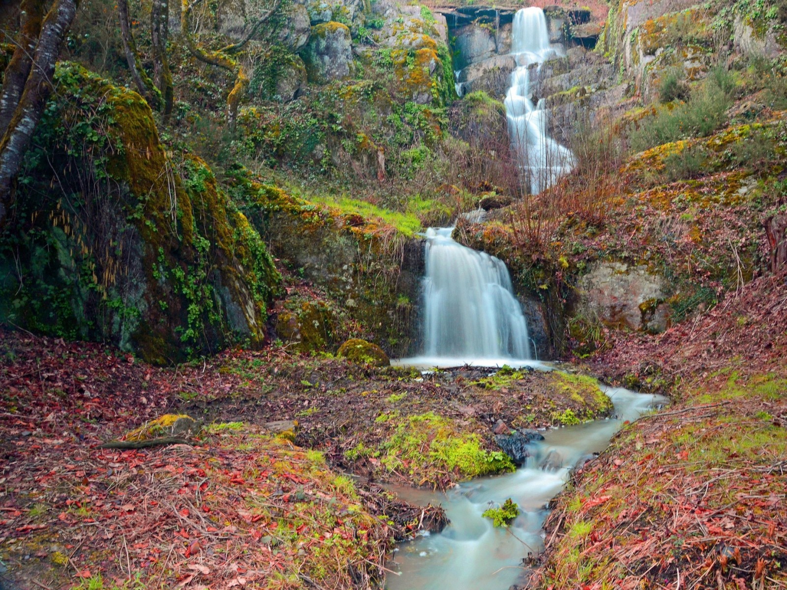 Araf waterfall in the woods with a bridge in the background (body of water, nature, nature reserve, watercourse, water)