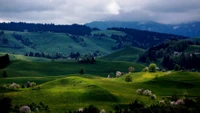 Pradera verde exuberante con colinas onduladas y cielo nublado